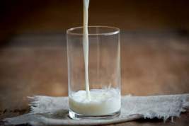 Шерсть в ультрапастеризованном молоке «Фрау Му» и «Тяжин», и идеальный состав от «Домик в деревне», «PARMALAT» и «VALIO»