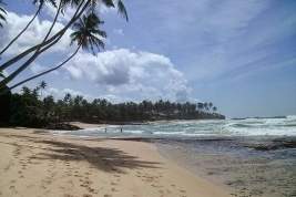 Шри-Ланка начала выдавать российским туристам бесплатные визы