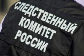 СК будет ходатайствовать об аресте 17-летнего подозреваемого в убийстве дочери замминистра Подмосковья