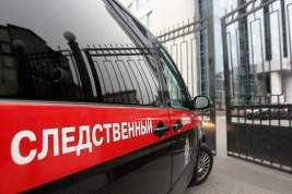 СК сообщил о семи жертвах контрафактного бария в Петербурге