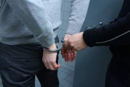 Стали известны подробности о задержанных за подготовку теракта в Подмосковье подростках