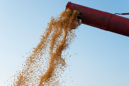Стоимость пшеницы в США за бушель упала ниже уровня даты остановки зерновой сделки