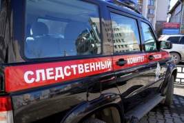 Судмедэксперт: погибший в ДТП в Кировской области ребенок «мог хлебнуть» спиртного по случайности