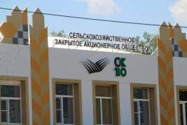 СЗАО «СКВО»: кому нужен чеченский акцент в истории с сельхозпредприятием