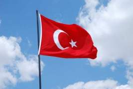 Турция обратилась к США с просьбой отдать ей американские базы в Сирии