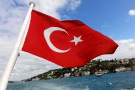 Турция отказалась подключаться к санкциям против России в области энергетики