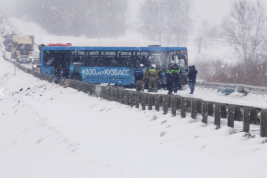 В аварии с автобусом на трассе в Кузбассе погибли пять человек