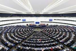 В Европарламенте призвали ЕС добиваться ордера МУС на арест Лукашенко