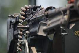 В Германии объяснили задержку поставок оружия Украине