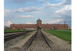 В Германии пенсионерка, отрицавшая Холокост, приговорена к тюремному заключению