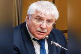 В Госдуме отреагировали на заморозку Арменией участия в ОДКБ