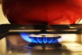 В Госдуме предложили обеспечить пожилых людей плитами с контролем выделения газа