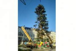 В интернете высмеяли лысую елку в центре Киева
