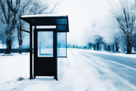 В Кемерово водитель выгнал школьника из автобуса в 30-градусный мороз из-за отсутствия справки из школы