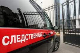 В Кузбассе девятилетняя девочка погибла на детской площадке