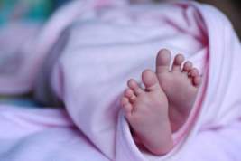 В Ленинградской области нашли тело младенца