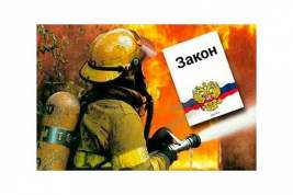В мае 2016 года принят закон «О службе в федеральной противопожарной службе Государственной противопожарной службы»