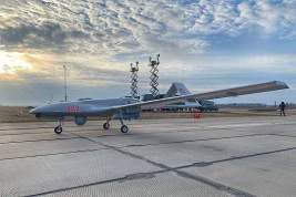 В МИД России прокомментировали поставки Турцией вооружений Украине