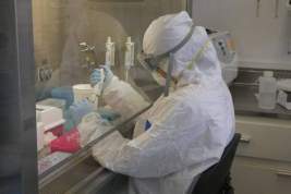 В Минздраве допустили возможность третьей волны коронавируса в России