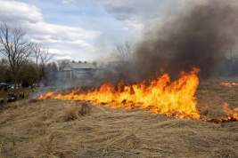 В Омской области введён режим ЧС из-за природных пожаров