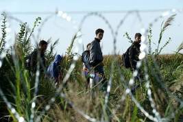 В Польше заявили об обманывающих ЕС мигрантах, пытающихся попасть в Германию