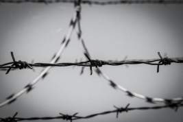 В Раде предложили освободить заключённых на подконтрольных России территориях