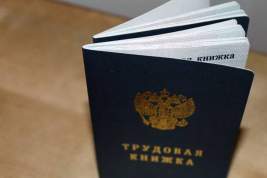 В России будут использовать трудовые книжки нового образца