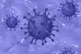 В России за последние сутки выявили 22 850 новых заразившихся коронавирусом и 566 летальных исходов