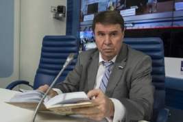 В Совфеде оценили сроки проведения референдумов о присоединении к РФ новых регионов