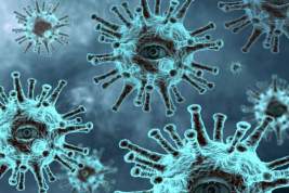 В США на фоне выборов снова выявили более 100 тысяч новых случаев заражения коронавирусом