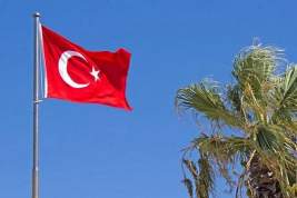 В США призвали исключить Турцию из НАТО из-за её внешней политики