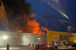 В торгово-развлекательном центре в Рязани произошел пожар