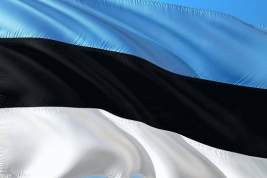 В Эстонии считают, что угроза военного нападения России незначительна