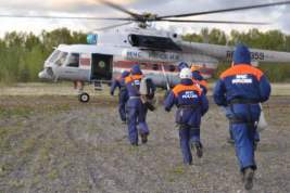 Вертолет Ми-8 разбился на Камчатке: 7 человек считают пропавшими без вести