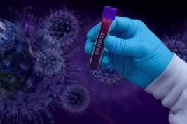 Вирусолог дал совет по подготовке ко второй волне коронавируса