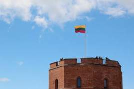 Власти Литвы не поддержат свой бизнес в случае национализации компаний в России