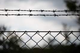Во ФСИН объяснили предложение заменить труд мигрантов заключёнными