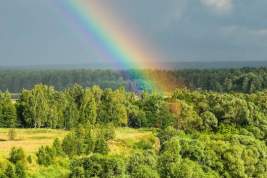 Хинштейн: закон о «пропаганде ЛГБТ» не запрещает радугу