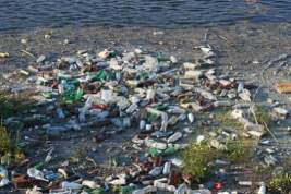 Экологи бьют тревогу – океаны превратились в свалку из пластика