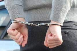 Экс-замминистра энергетики Петра Нидзельского арестовали по делу о крупном мошенничестве