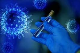 Эксперты ВОЗ: лаборатория в Ухане не могла стать источником распространения коронавируса