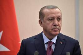 Эрдоган назвал условие, при котором турецкие вооруженные силы покинут Сирию