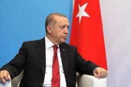 Эрдоган заверил, что Турции не страшны американские санкции