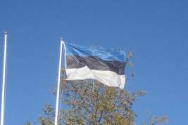 Эстония хотела бы расширения американского военного присутствия в Прибалтике
