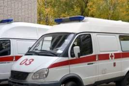 Журналистку Милашину и адвоката Немова перевезли в больницу в Москве после нападения в Чечне