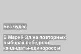 В Марий Эл на повторных выборах победили кандидаты-единороссы