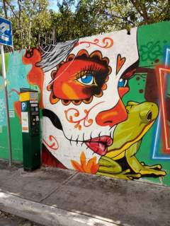 Катрина ла Калавера. Граффити в Плайя дель Кармен.
(фото: Татьяна Егорова)