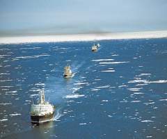 Использование Северного морского пути будет представлять значительную опасность для уникальных природных экосистем. фото: РИА Новости