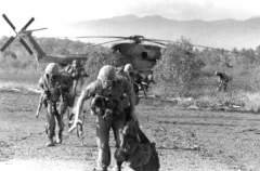 Морпехи покидают сбитый вертолет
(фото: Wikimedia Commons/U.S. Air Force)