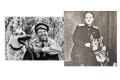 Прототипами главных героев фильма «Ко мне, Мухтар!»были сотрудник уголовного розыска Пётр Бушмин и его служебный пёс Султан, работавшие в ленинградской милиции в 40-е годы.